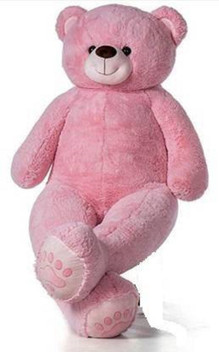 unique teddy