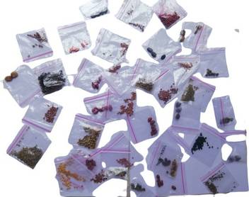 Delhi Bazaar Vegetable Seeds Combo Pack Seed Price In India Buy Delhi Bazaar Vegetable Seeds Combo Pack Seed Online At Flipkart Com