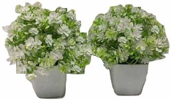 Glimpse Bonsai Wild Artificial Plant With Pot Price In India Buy Glimpse Bonsai Wild Artificial Plant With Pot Online At Flipkart Com