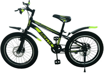 20 cycle