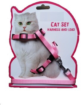 cat collar and leash