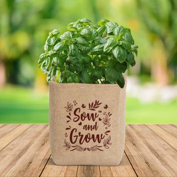Nurturing Green All Sorts Of Indor And Outdoor Plants Grow Bag Price In India Buy Nurturing Green All Sorts Of Indor And Outdoor Plants Grow Bag Online At Flipkart Com