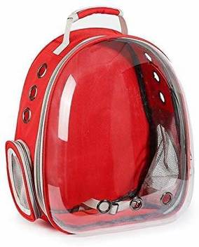 www flipkart com