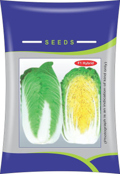 VibeX ™ XXL-590-Chinese Brassica Pekinensis Cabbage Seeds Seed Price in  India - Buy VibeX ™ XXL-590-Chinese Brassica Pekinensis Cabbage Seeds Seed  online at Flipkart.com