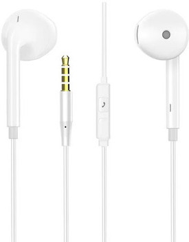 v19 earphone