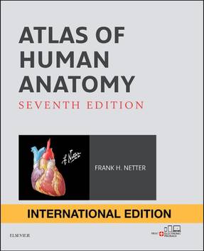Atlas Of Human Anatomy International Edition Buy Atlas Of Human Anatomy International Edition By Md Netter Frank H At Low Price In India Flipkart Com