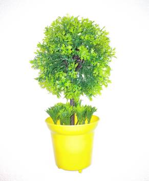 Maurya Wild Artificial Plant With Pot Price In India Buy Maurya Wild Artificial Plant With Pot Online At Flipkart Com #art #art history #ancient art #yakshi holding a fly whisk #mauryan #mauryan period #submission. flipkart