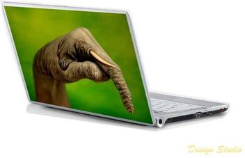 Design Studio Elephant Vinyl Laptop Decal 15 6 Price In India Buy Design Studio Elephant Vinyl Laptop Decal 15 6 Online At Flipkart Com