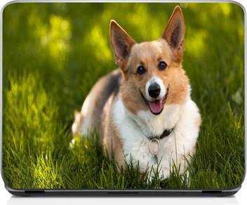 Saver Fantastic Corgi Vinyl Laptop Decal 15 6 Price In India Online At Flipkart Fantastic Corgi Vinyl Laptop Decal 15 6
