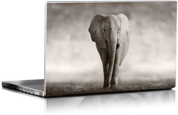 Magickrafts African Elephant Vinyl Laptop Decal 15 6 Price In India Buy Magickrafts African Elephant Vinyl Laptop Decal 15 6 Online At Flipkart Com