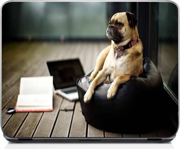 Fairdeal Funny Vodafone Dog Vinyl Laptop Decal 15 6 Price In India Buy Fairdeal Funny Vodafone Dog Vinyl Laptop Decal 15 6 Online At Flipkart Com Packaging should be the same as what is found in a retail store, unless the. flipkart