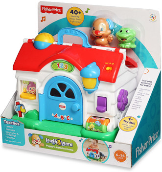 fisher price puppy activity home