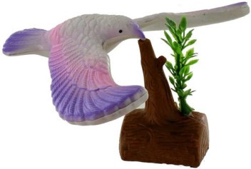 by TEDCO colors may vary Balance Bird great for understanding gravity