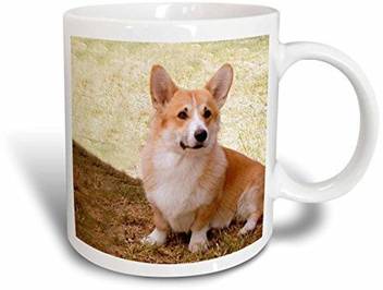 Rose Pembroke Welsh Corgi 11 Ounce Ceramic Mug Price In India Online At Flipkart Rose Pembroke Welsh Corgi 11 Ounce