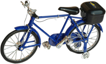 by cycle flipkart