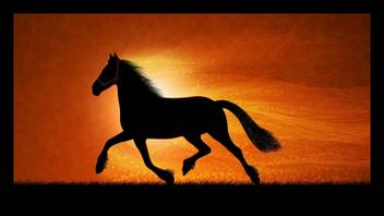 Dkh Drawing Horse Night Shadow With Mate Finish Print Acrylic 14