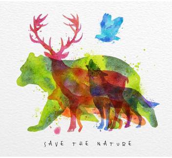 Pitaara Box Color Animals Bear Deer Wolf Fox Bird Framed Wall Art Painting Print Canvas 16 Inch X 17 6 Inch Painting Price In India Buy Pitaara Box Color Animals Bear Deer