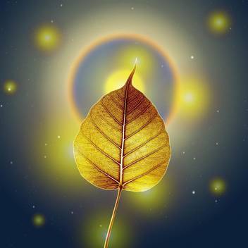 Pitaara Box Gold Pho Or Bodhi Leaf With Moon Halo Framed Wall Art