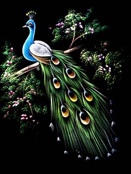 Srinidhihandicreations Peacock Velvet Painting Acrylic 27 Inch X