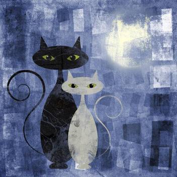 Black And White Cat Premium Poster Canvas Art Artzfolio Com