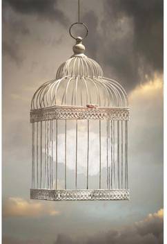 Cloud Inside A Cage Unframed Art Print Paper Print Artzfolio Com
