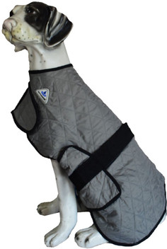 dog accessories flipkart