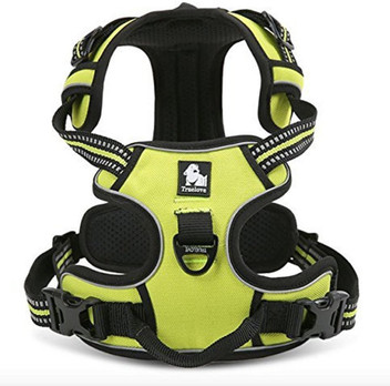 Dog chest belt flipkart clearance