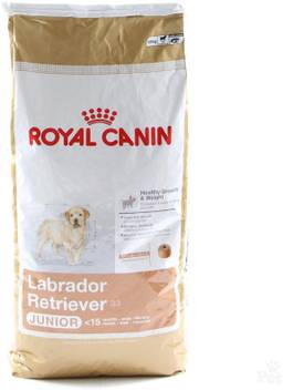 Royal Canin Labrador Retriever Junior Chicken 12 Kg Dry New Born Dog Food Price In India Buy Royal Canin Labrador Retriever Junior Chicken 12 Kg Dry New Born Dog Food Online