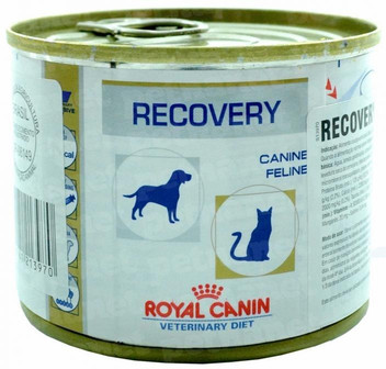 recovery dog food royal canin