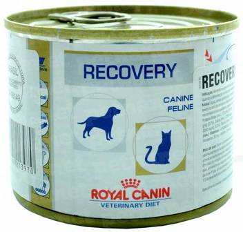 Royal Canin Recovery Can 195gm Chicken 0 195 Kg Dry Adult Dog Food Price In India Buy Royal Canin Recovery Can 195gm Chicken 0 195 Kg Dry Adult Dog Food Online At Flipkart Com