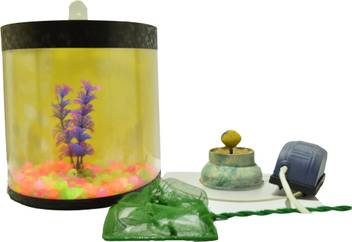 Sarah Ventures Mini Wall Hanging Aquarium Fish House Price In India Buy Sarah Ventures Mini Wall Hanging Aquarium Fish House Online At Flipkart Com