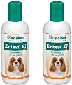 himalaya shampoo dog