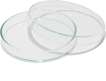 petri dish cover