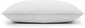 Northern Feather Canada Cotton Solid Sleeping Pillow Pack Of 1
