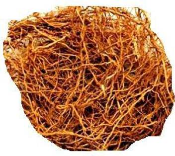 Shubh Bhakti Vala Khas Seed Price In India Buy Shubh Bhakti Vala Khas Seed Online At Flipkart Com