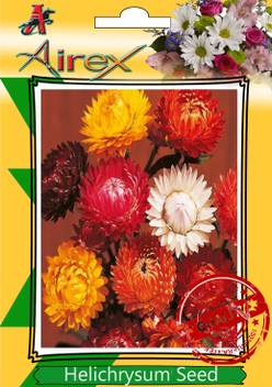 Airex Helichrysum Mixed Winter Flower Seed Price In India Buy