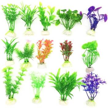 Priyathams Imported Aquarium Grass Plant Seed Price In India Buy Priyathams Imported Aquarium Grass Plant Seed Online At Flipkart Com
