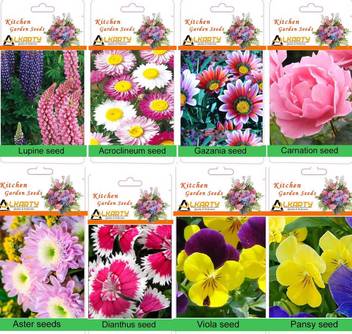 Winter Flower Seeds Online India لم يسبق له مثيل الصور Tier3 Xyz