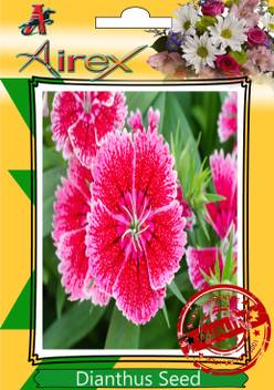 Airex Dianthus Winter Flower Seed Price In India Buy Airex