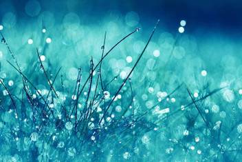 Sombra Poster Wall Decorative 3d Wallpaper Nature Scenery 915