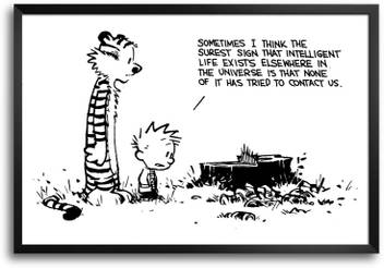 Rangeeleinkers Calvin And Hobbes On Life Laminated Frame Poster