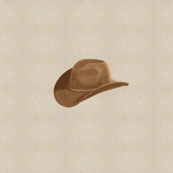 buy cowboy hats online india