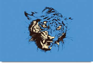 Abstract Tiger C Paper Print Animals Abstract Nature