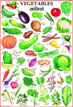 Vegetables Chart For Children Paper Print Children Posters In