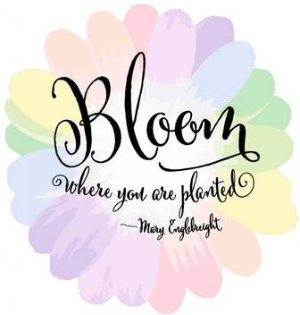 Bloom Where You Are Planted Poster Photographic Paper Art