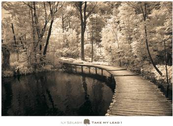 Take My Lead I Fine Art Print Ily Szilagyi Posters Photography Posters In India Buy Art Film Design Movie Music Nature And Educational Paintings Wallpapers At Flipkart Com