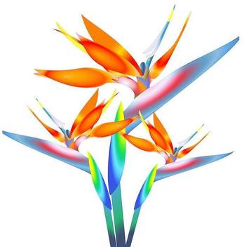 Bird Of Paradise Flower Premium Poster Paper Print Artzfolio Com