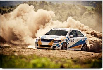 Rangeeleinkers Racing Car Art Work Laminated Poster Paper Print