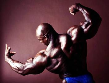 Ronnie Coleman Body Building Poster Hd Wallpaper Background Fine Art Paper Fine Art Print Personalities Posters In India Buy Art Film Design Movie Music Nature And Educational Paintings Wallpapers At Flipkart Com , ronnie coleman wallpaper hd and unseen bodybuilding 1280×927. inr