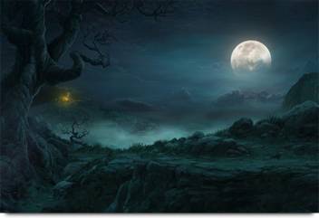 Full Moon Night In Jungle Paper Print Nature Posters In India